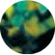 Camouflage swatch